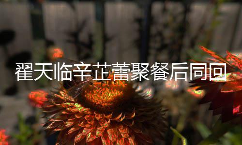 临辛临辛芷蕾芷蕾怎么翟天翟天后同回爱样巢 感情聚餐