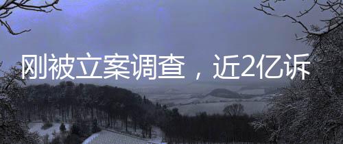 诉讼诉，立案岭南了怎么调查2亿又败刚被，近