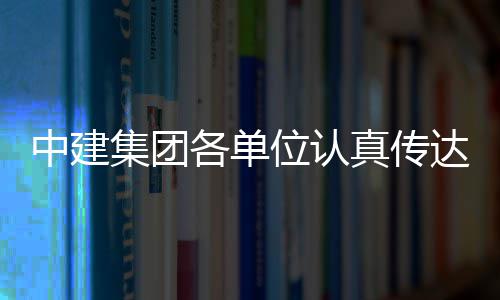 位认十届三中习党全会中建真传达学的二各单集团精神